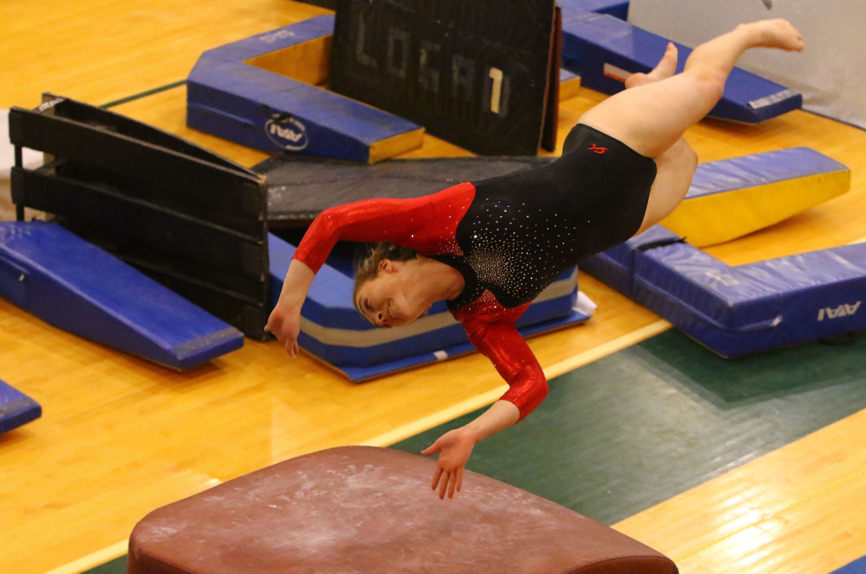 Gallery: Gymnastics Regional